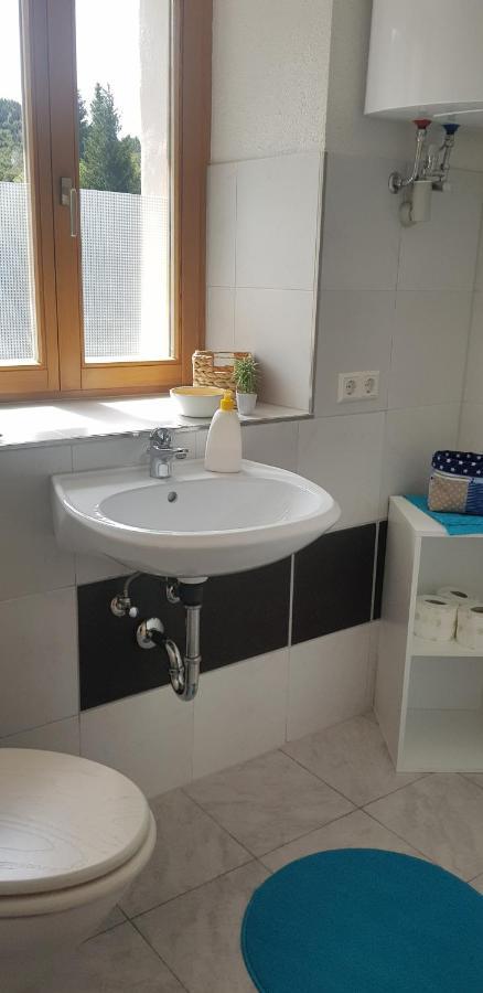 Ferienwohnung Natururlaub Muggenbrunn Todtnau Ngoại thất bức ảnh