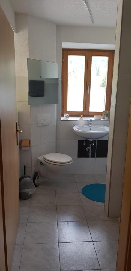 Ferienwohnung Natururlaub Muggenbrunn Todtnau Ngoại thất bức ảnh