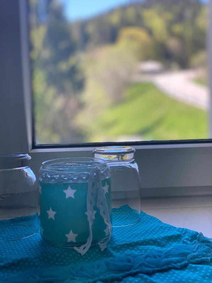 Ferienwohnung Natururlaub Muggenbrunn Todtnau Ngoại thất bức ảnh